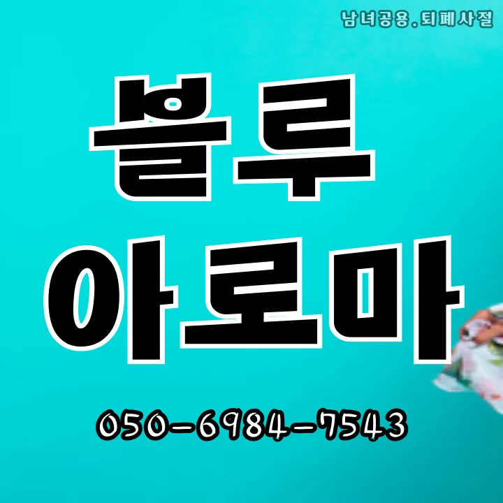 진접읍 출장안마 모찌바디 - 경기북부 읍면지역 전문 홈케어 서비스